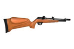 CARABINA PCP PR 900W G3 5.5MM - Imagem 3